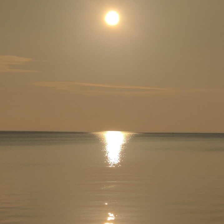 Sol Helnæs NY